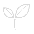 bio